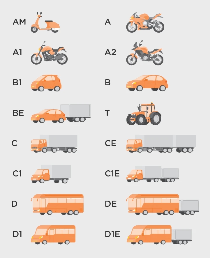 Rijbewijzen