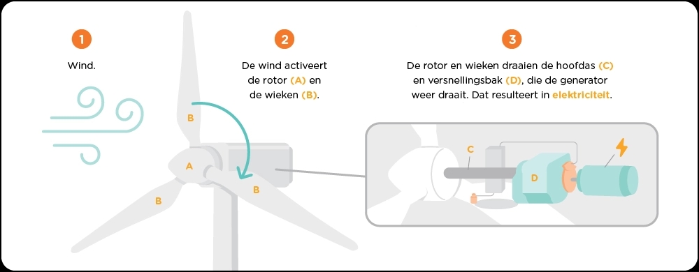 Wind activeert de rotor en wieken. Deze draaien de hoofdas en versnellingsbak. Hierdoor draait de generator weer en wordt stroom opgewekt.