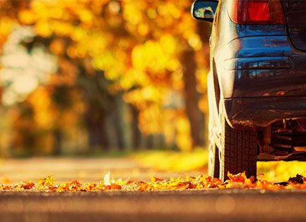 Veilig rijden in de herfst  thumb